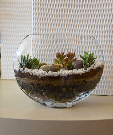 A stylish terrarium with hand selected succulents and designed with the layered textures of rocks, sand and moss in a sphere glass vase.   