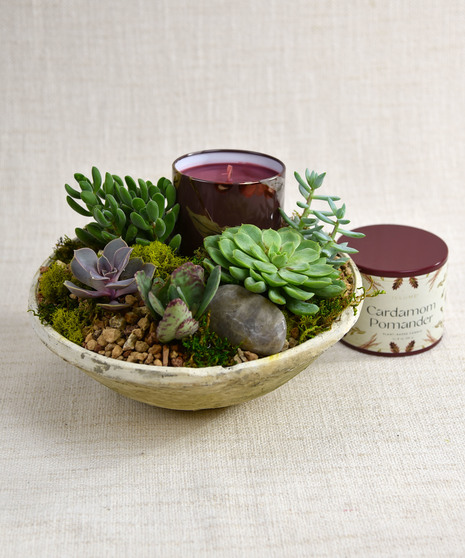 Lumiere Garden - Succulent + Candle Centerpiece