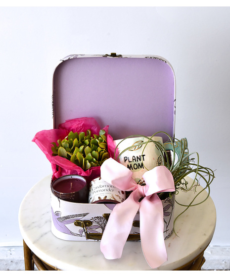 A perfect gift box. Includes 1 potted succulent, 1 air plant, a candle and a mug in a mini hummingbird suitcase