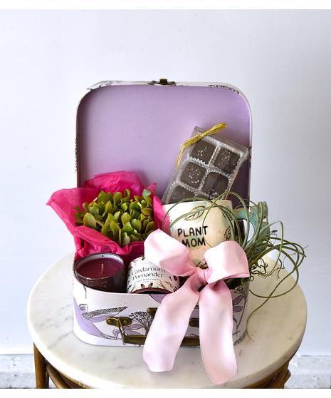 A perfect gift box. Includes 1 potted succulent, 1 air plant, a candle and a mug in a mini hummingbird suitcase