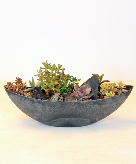 A textual collection of succulents and natural elements designed in a contemporary boat-shaped container. The variety of color and textures is a perfect selection.