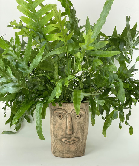 Good Vibrations Planters
