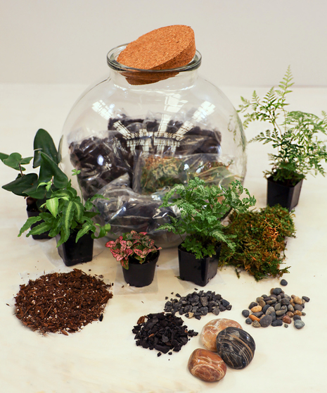 Terrarium Garden Kit