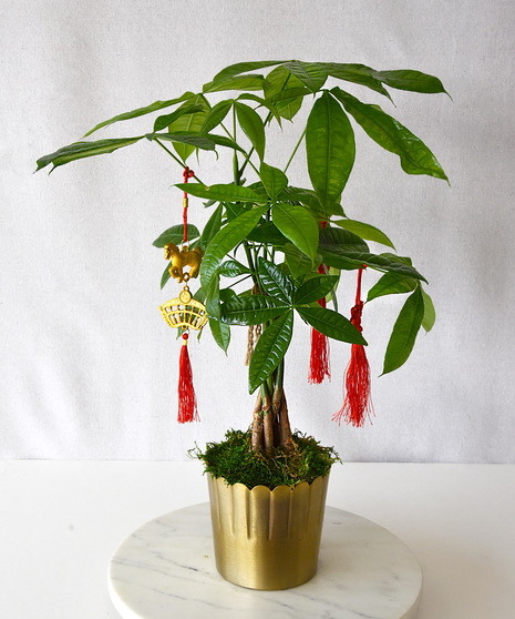 Golden Money Tree - Lunar New Year of the Horse