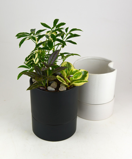 Green Party Garden - Self Watering Ceramic