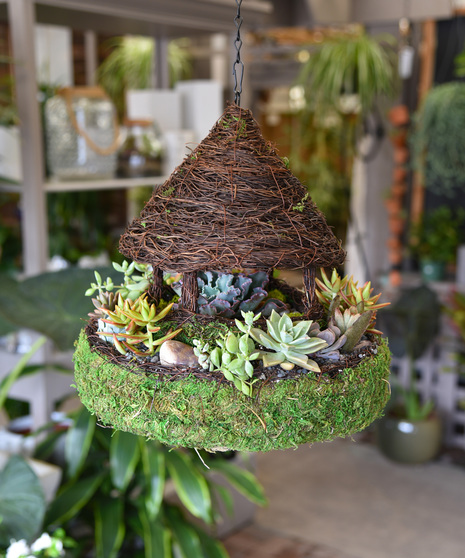 Succulent Moss Gazebo