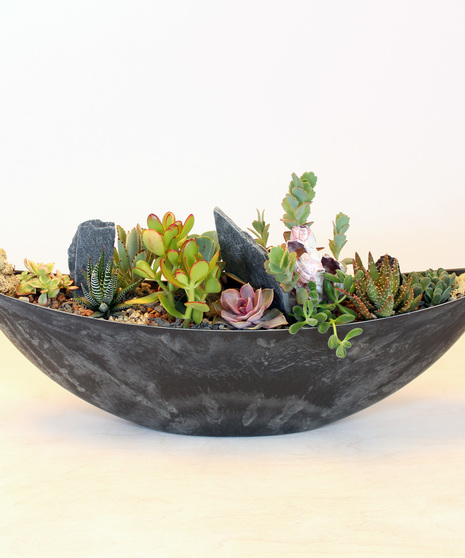 A textual collection of succulents and natural elements designed in a contemporary boat-shaped container. The variety of color and textures is a perfect selection.