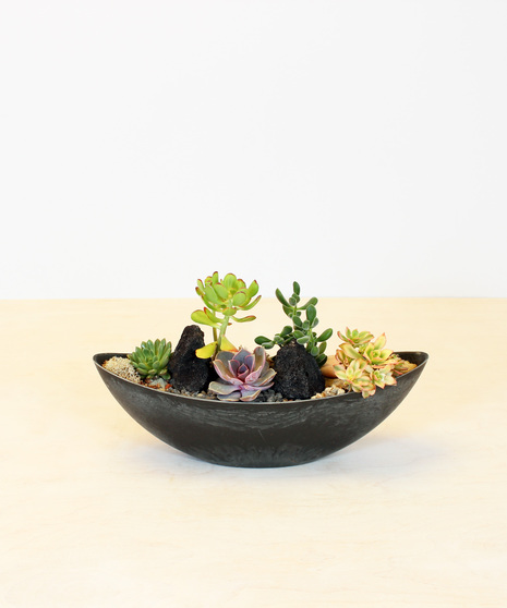 A textual collection of succulents and natural elements designed in a contemporary boat-shaped container. The variety of color and textures is a perfect selection.
