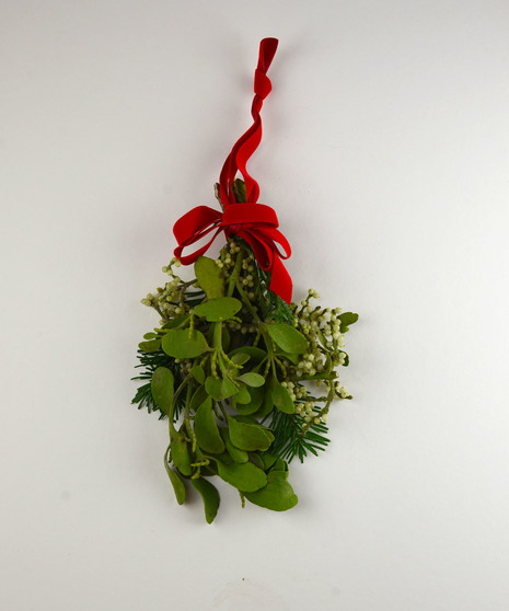 Fresh Mistletoe with Bow