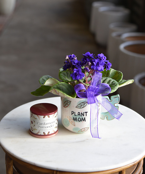Violet Plant Mom Mug
