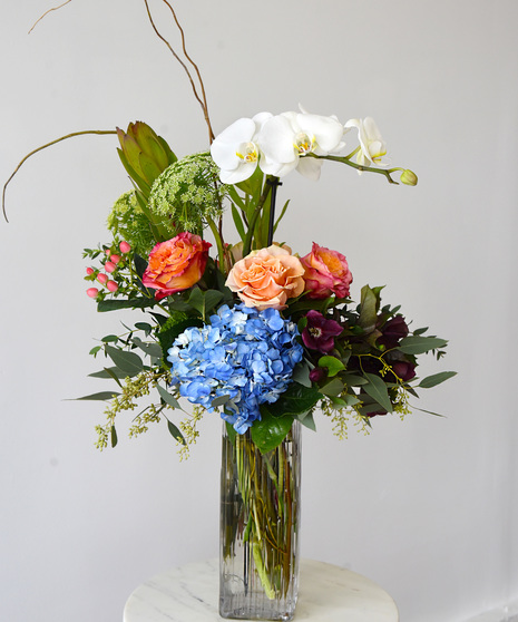 Intrigue - Modern Floral Design