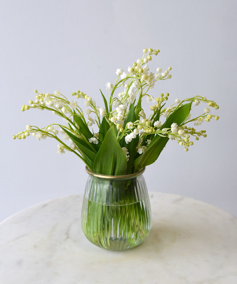 Elegant Lily of the Valley - Softly fragrant, delicately designed