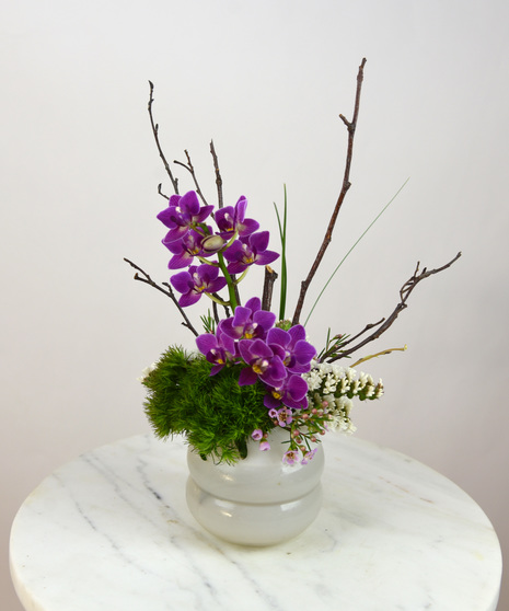 Dancing Bubbles - Orchid Arrangement