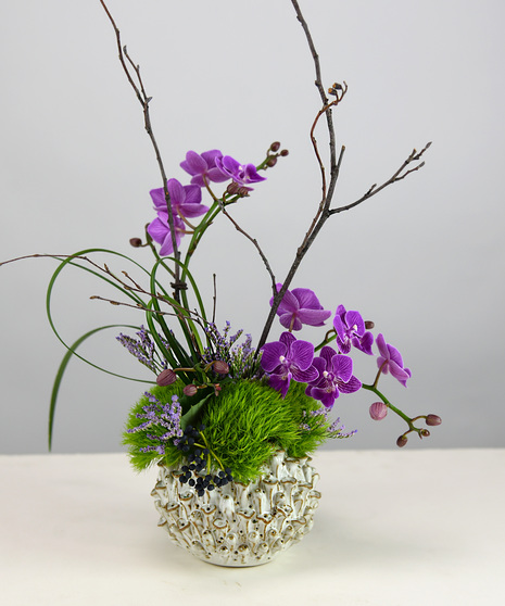 Sea Anemone Orchid Arrangement