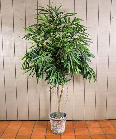 How to care for artificial plants