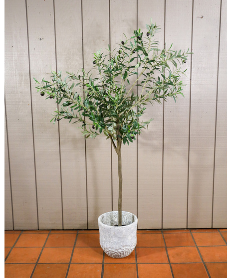 Faux Olive Tree, 5.5 Feet