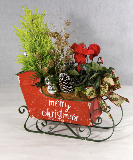 Sleigh Ride Garden