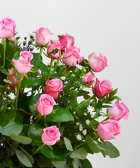 Dozen Luxury Red Roses