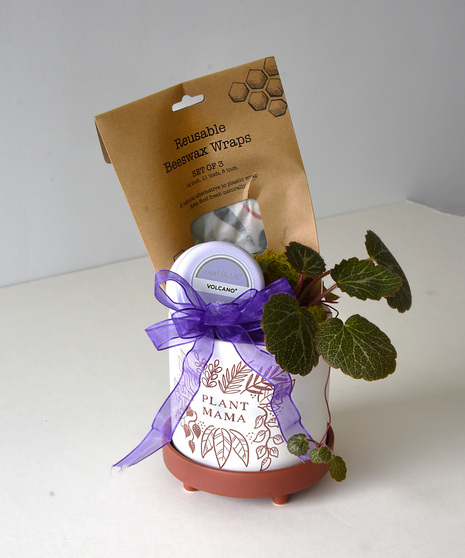 Plant Mama Starter Set