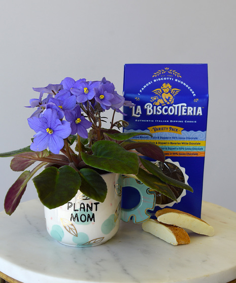 Let the world know that she's a plant mom with a mug and yes a plant.  Planted in the mug a blooming african violet plant or a succulent.