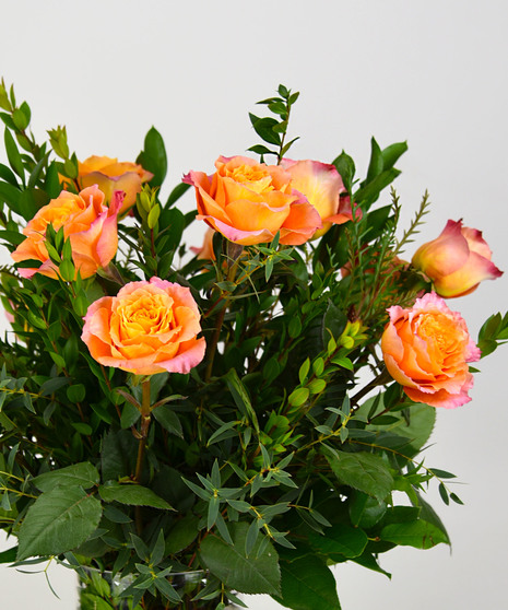 Three Dozen Luxury Roses