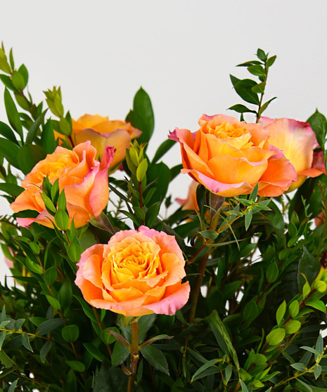 Four Dozen Red Roses - Same Day Delivery San Mateo