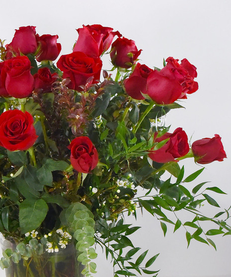 12 Dozen Roses for Valentines Day