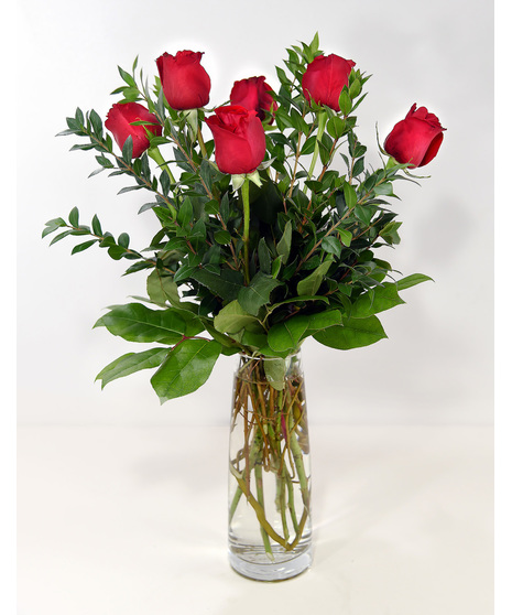 Rose Delight - 6 Premium Roses