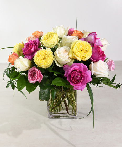 Garden Style Roses 