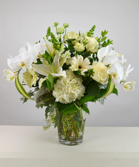 Flowers & Plants for the Home
