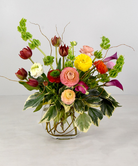 Spring Radiance, Ranunculus