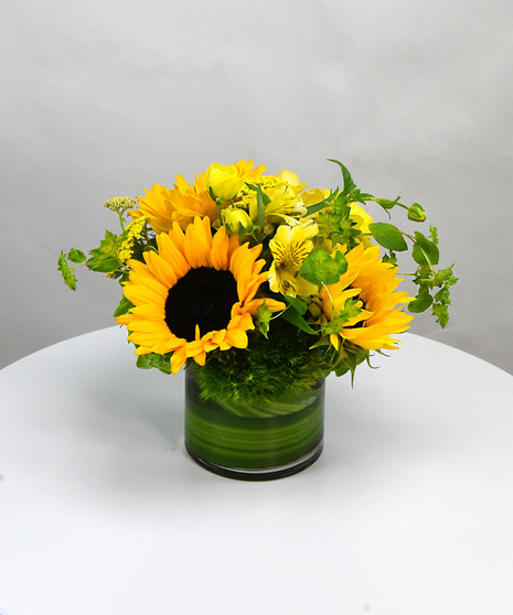 Sunflower Smile