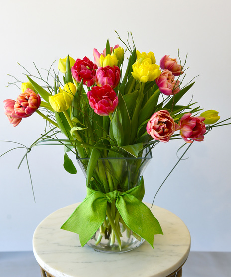 Tulip Symphony