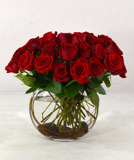  Romantic red roses and lacy hydrangea designed in a sleek and slender glass vase. A modern look with 12 or 24 roses.