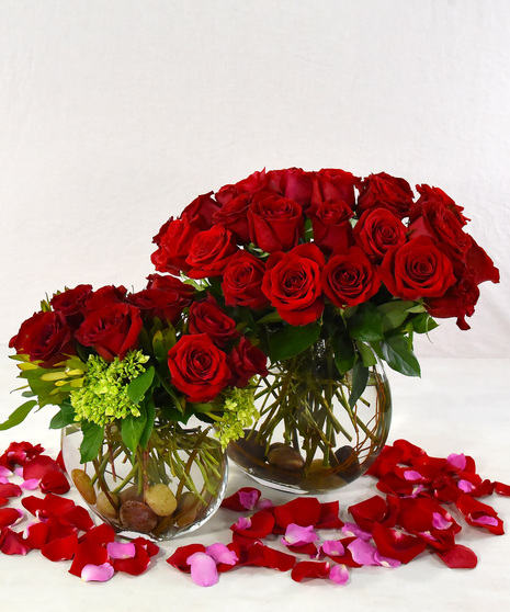  Romantic red roses and lacy hydrangea designed in a sleek and slender glass vase. A modern look with 12 or 24 roses.