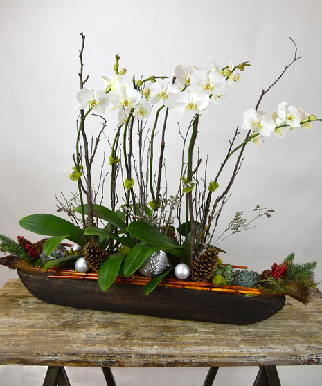 Winter Wonderland - Orchid Garden