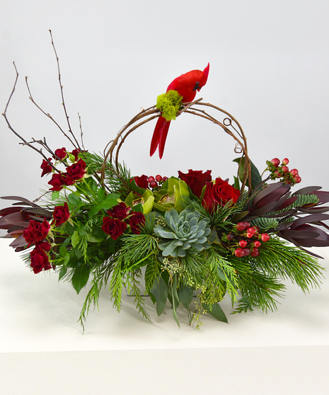 Features red roses with cymbidium orchids and succulent among evergreen foliage and a keepsake cardinal bird watching over the festivities.