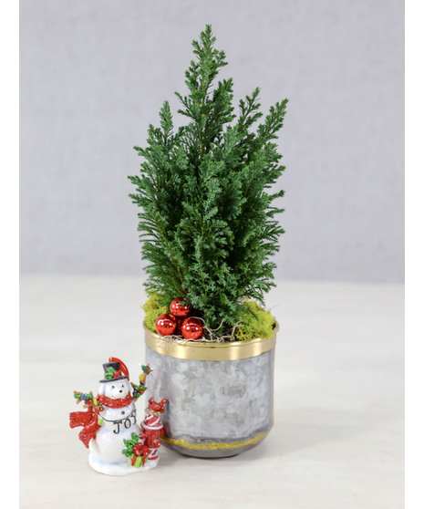 Be Merry - Petite Tree