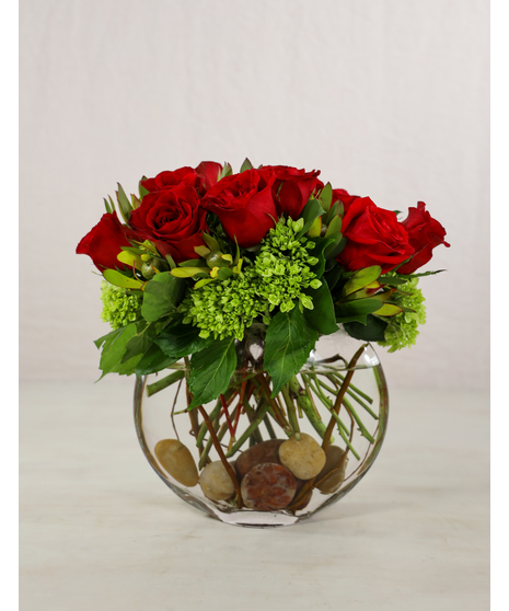  Romantic red roses and lacy hydrangea designed in a sleek and slender glass vase. A modern look with 12 or 24 roses.