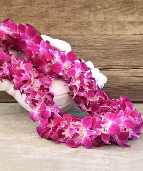Another view of the fuchsia double orchid lei