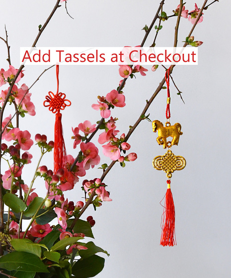 Red good luck tassels, knot and horse.  Add at checkout.