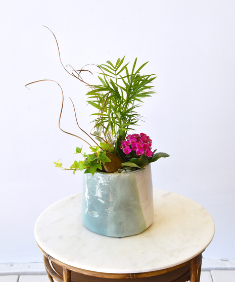 Green plants and kalachoe with rocks and moss designed in a green-glue vertical striped ceramic container.